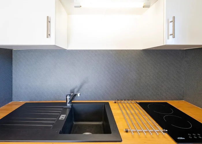 Apartment Les Mimosas - 04